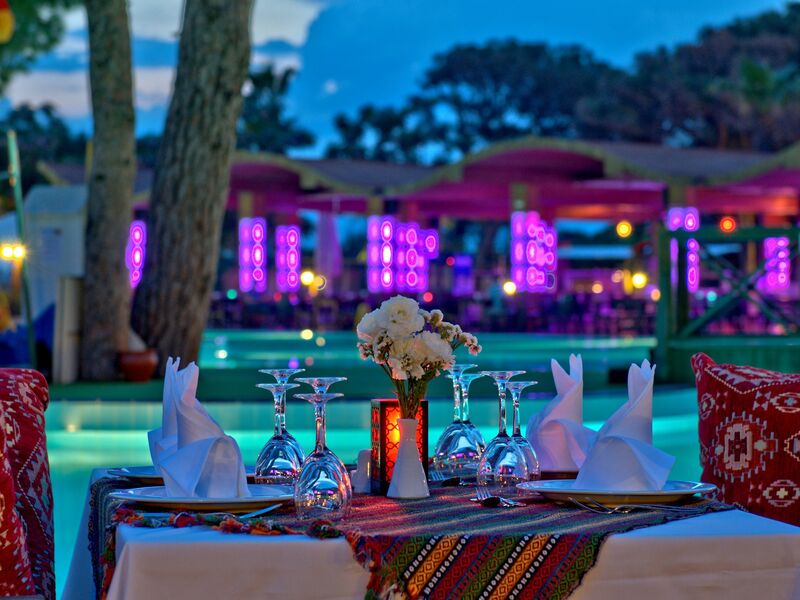 Tuı Magıc Lıfe Belek